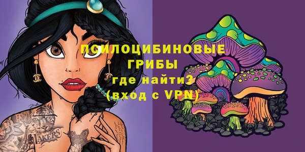 jwh Карпинск