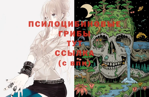 jwh Карпинск
