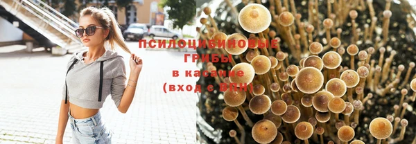 jwh Карпинск
